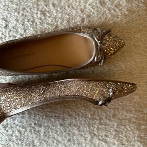 Banana Republic Pointed Toe Robin Glitter Ballet Flat